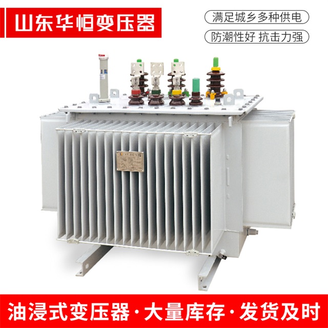 S13-10000/35巴青巴青巴青电力变压器